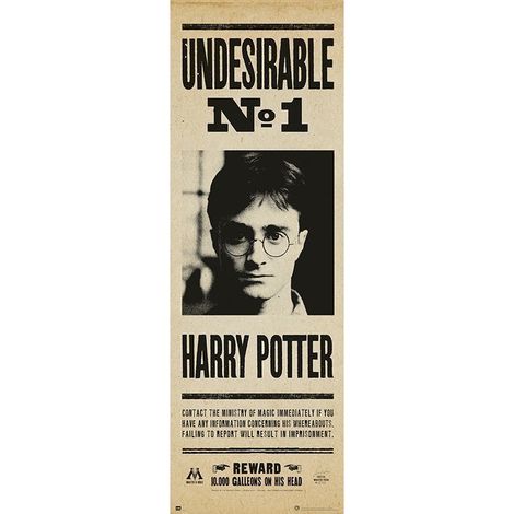 Porta poster harry potter indesiderabile n§1
