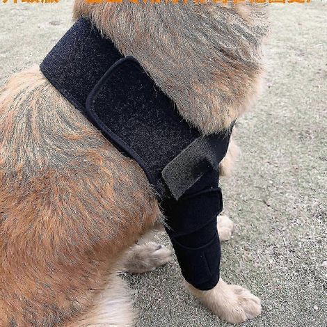Ellenbogenbandage für Hunde: Unterstützt Schultern, Vorderbeine und Gelenkstabilität lindert Verrenkungen, Druckstellen, Verletzungen und Arthritis (Große Größe) L (1/4)