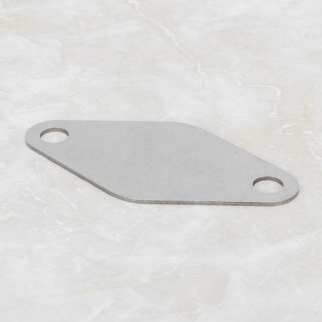 Plaque d'obturation de suppression EGR de remplacement pour Nissan Navara D22 ZD30 (1/5)