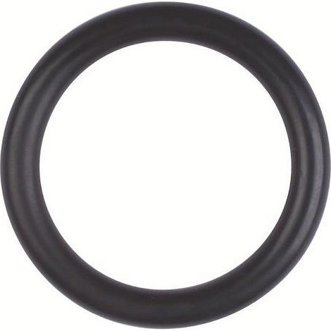 Röhm O-Ring, Größe 21,82x3,53 - 006252 (1/4)