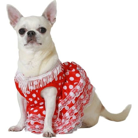 Costume per Cane Taglia L Ballerina di Flamenco (1/3)