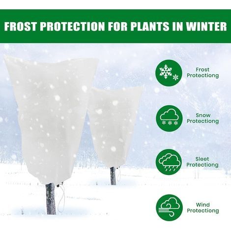 Winterabdeckung für Pflanzen, 2er-Pack, 80 x 120 cm, Schutzhüllen für Pflanzen gegen Kälte und Frost, 60 g/m² Schutzplane für Sträucher und Pflanzen (1/4)