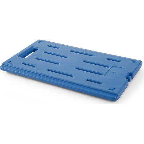 Elemento de refrigeración GN 1/1 para recipientes con aislamiento térmico hasta -18 °C Hendi 707821 (1/2)