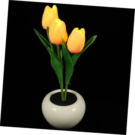 Lampe Veilleuse Tulipe Bonsaï 3w en Céramique Pu LED (1/5)