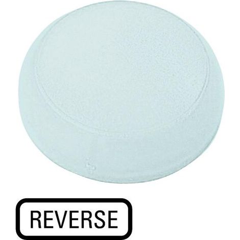 Verrine voyant lumineux blanc plate REVERSE EATON M22-XL-W-GB16