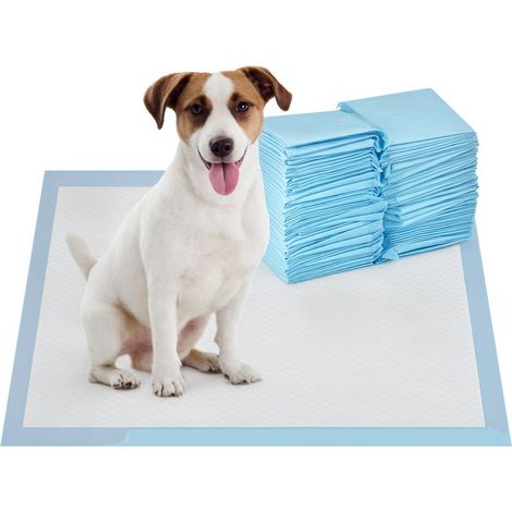 Packung mit 100 Hundetrainingspads, 6-lagig, 45 x 60 cm, blau und weiß