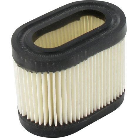 Filtro aria trattorino tagliaerba rasaerba compatibile TECUMSEH 36745 23410060
