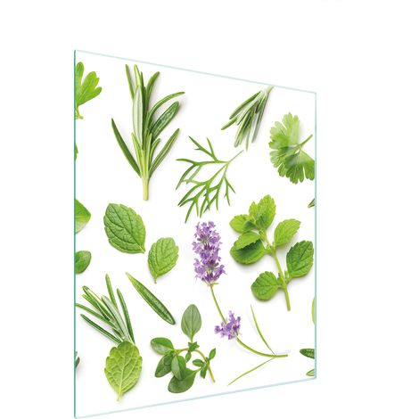 TABLA DE CORTAR DE VIDRIO 45x52 PLANTAS (1/5)