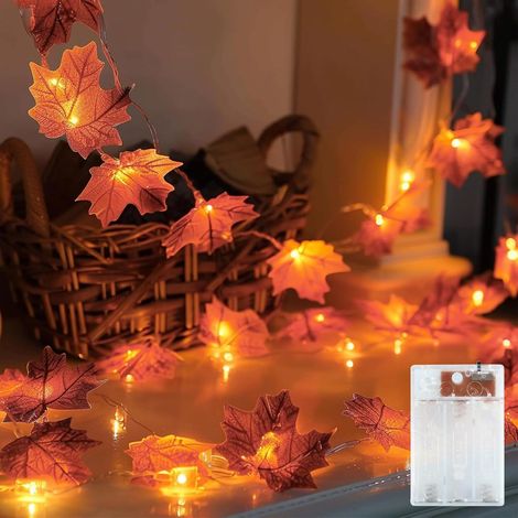 Guirlande Lumineuse Gland,Guirlande d'automne,LED Guirlande d'automne, piles Pour Halloween, Fête,Citrouille, Noël Decoration (1/5)