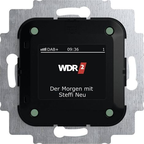 busch-jaeger TB U12.7.11 CG accesorio electrónico interior