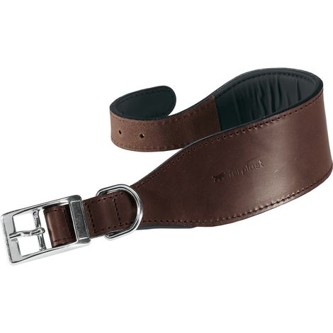 Ferplast VIP CW Collare in cuoio di toro per cani Levriero - 3 misure. Variante CW20/39 - Misure: A: 32-39 cm B: 20 mm - Marrone (1/7)