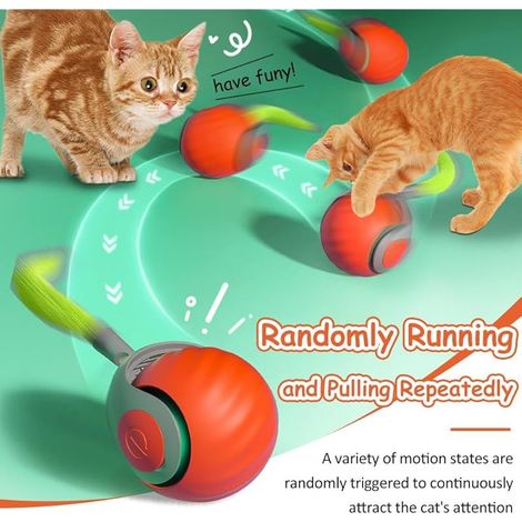 Interaktiver Spielball für Wohnungskatzen, interaktives Spielzeug für Hunde und Katzen, automatischer Rollball mit flauschigem Schwanz (Orange) (1/4)