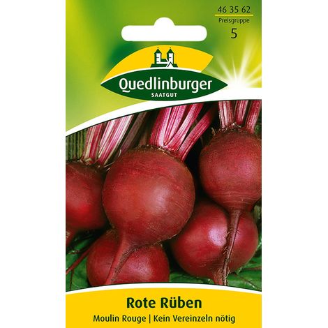 Quedlinburger Saatgut – Betterave rouge Moulin Rouge – Graines de légumes, variété monogerme ronde, pour env. 10 mètres linéaires