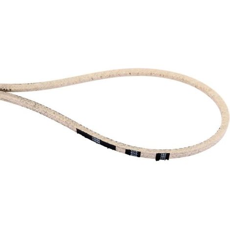 Courroie SNAPPER 1732956SM
