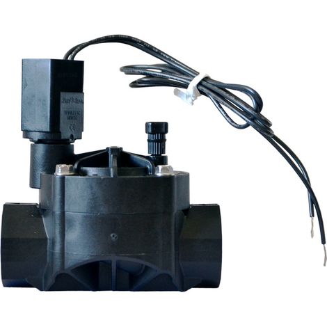 Électrovanne BSP 1 IG/IG RAINBIRD (1/3)