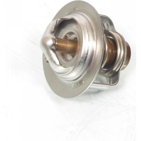 RMS-Thermostat für Zweiräder 1634187795000 neu (1/4)