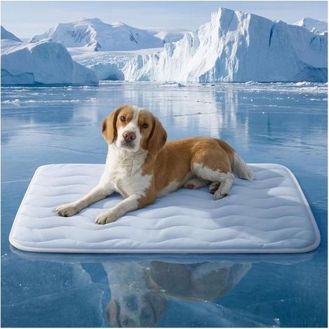 Tapis rafraîchissant pour chien extra large - Coussin de caisse respirant - Fibre rafraîchissante - Portable et lavable - 104 x 71 cm - Bleu (1/5)