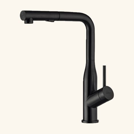 Robinet douchette Luisina inox noir mat ARCHIE (1/3)