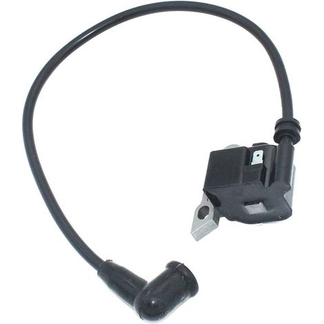 Module d'allumage pour Stihl Souffleur à dos BR320 BR340 BR320L BR340L BR380 BR420 BR420C Atomiseur SR320 SR340 SR400 SR420 souffleuse 4203 400 1301 4203 400 1302 (1/5)