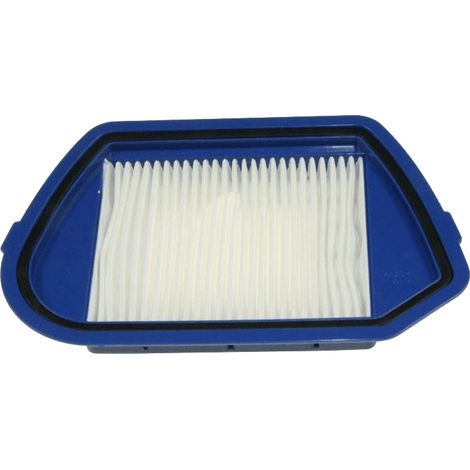 Kit filtres COMPACTEO ERGO CYCLONIC (1/2)