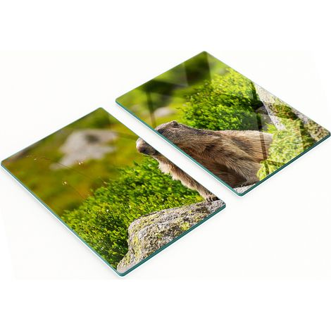 Eleganti e resistenti taglieri in vetro con motivo marmotta dei Tatra, 2x40x52 cm (1/5)