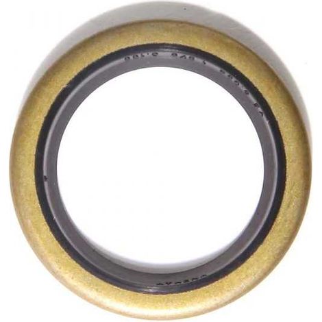 Joint spi pour moteur Briggs & Stratton N°294606 (1/3)