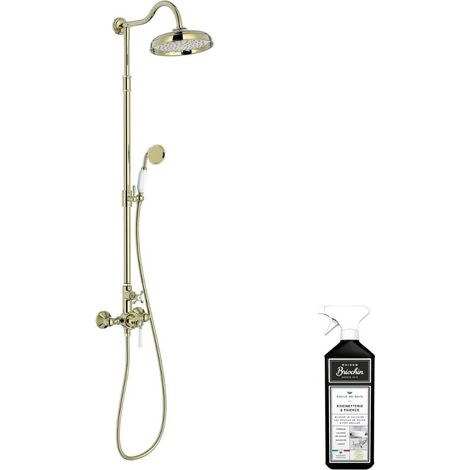 Colonne de douche JACOB DELAFON Cléo 1889 Or beige + nettoyant Briochin (1/5)