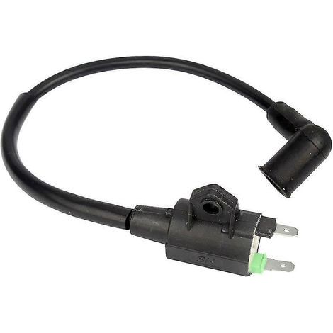Bobine d'allumage pour moteur de générateur à essence Yamaha ET950 ET650 (1/5)
