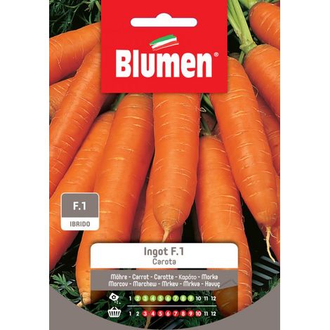 SEMI CAROTA INGOT IBRIDO
