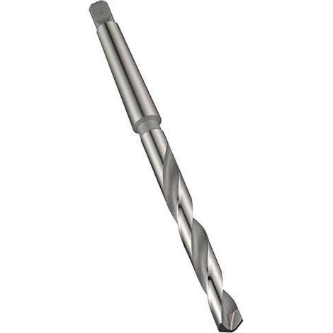 Foret hélicoïdal DIN 345 TypN A166 D.21mm HM-Coupe Brut/trempé 4XD DORMER (1/3)