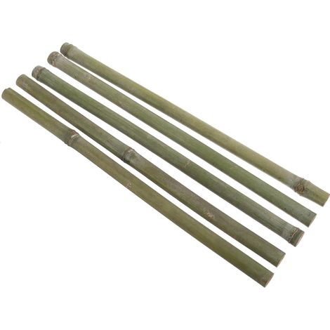 Lot de 5 Tuteurs en Bambou Robustes 40 CM Diamètre 1-2 CM pour Plantes Grimpantes Supports Multifonctions pour Jardin Intérieur et Extérieur Treillis Naturel pour Pots et (1/5)