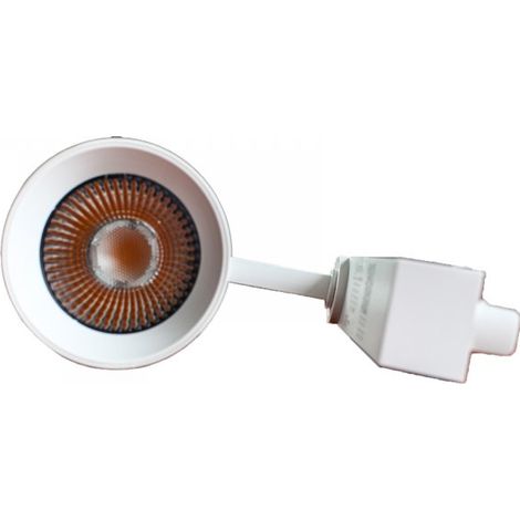 2 Pezzi Faro Bianco Mono Fase 30W 3000K