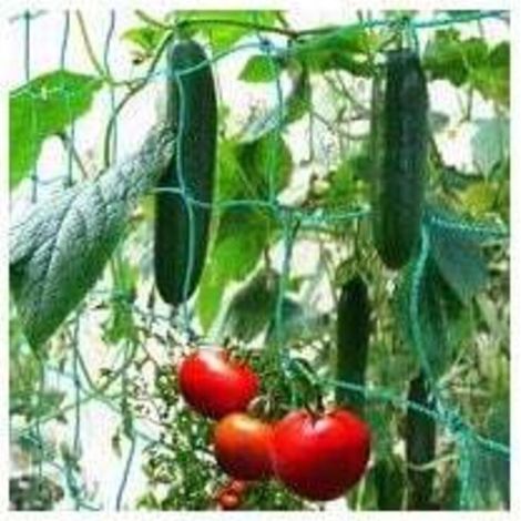 Enowelir Filet à Ramer avec Maillage Large pour Une récolte particulière Bonne de concombres, tomates et Autres légumes et Plantes grimpantes – Dimensions : 1.82.7m (1/5)