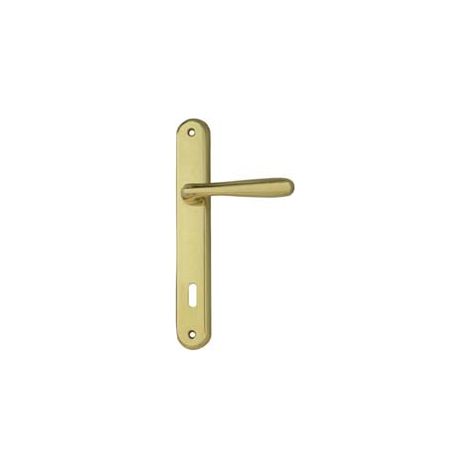MANIGLIA GOCCIA CON PLACCA IN ZAMA FINITURA OTTONE LUCIDO- - mm.90 foro normale - 2 paio COTTALI