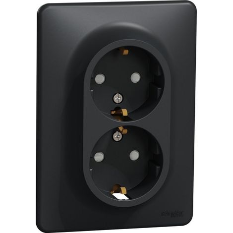 Presa schneider-electric sdd314221 16 A 3680 W