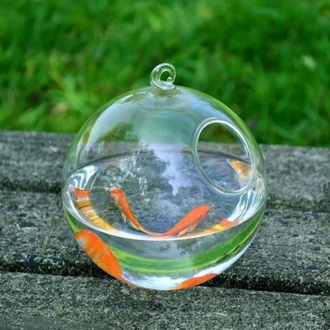 Aquarium - Vase En Verre Suspendu Ronde - Décoration Intérieure - 12 Cm De Hauteur - 1 Pièce (1/4)
