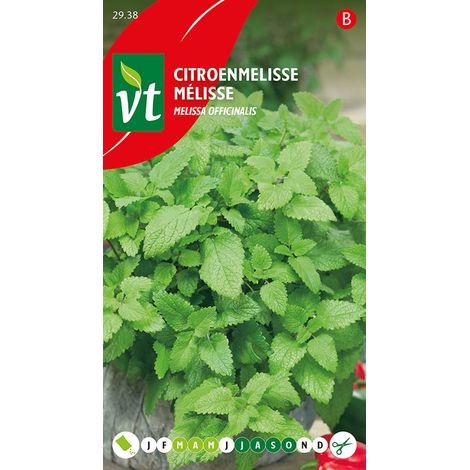 Mélisse - Ca. 0,75 gr (Livraison Gratuite) (1/2)