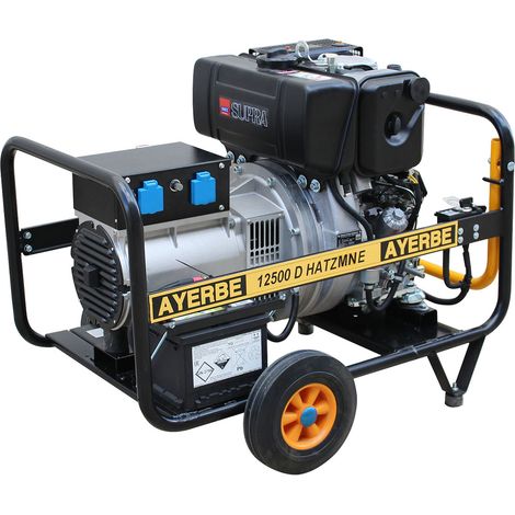 Groupe électrogène diesel monophasé 12,5 kVA HATZ MN E 10 kVA démarrage électrique 230 V