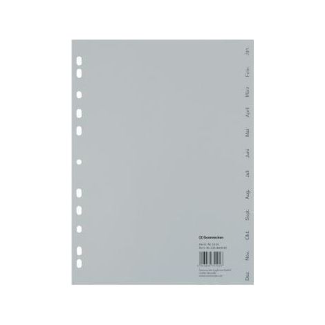 Monatsregister 22,5 x 29,7 cm (B x H) DIN A4 Jan.-Dez. Polypropylen grau 12 Registerblätter (1/3)
