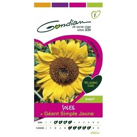 Gondian - Tournesol Soleil Géant Simple