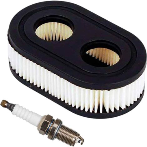 Filtre À Air - Bougie D'Allumage - Pour Moteurs Briggs & Stratton 550E 550EX 575EX - Référence 798452 593260 - 1 Pièce (1/5)