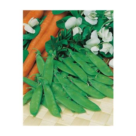 POIS CORNE DE BELIER - 150 G