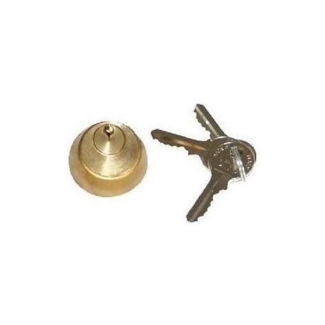 Cilindro Interno Con Chiave Per Elettroserratura N.01 ( Faac Cod. 712651001 )