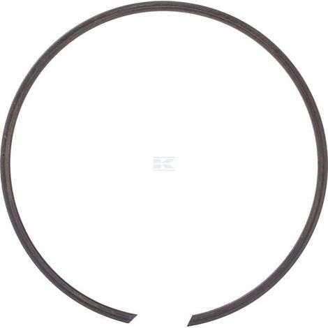 Anillo retenci贸n para carcasa IDC BR100 (1/2)