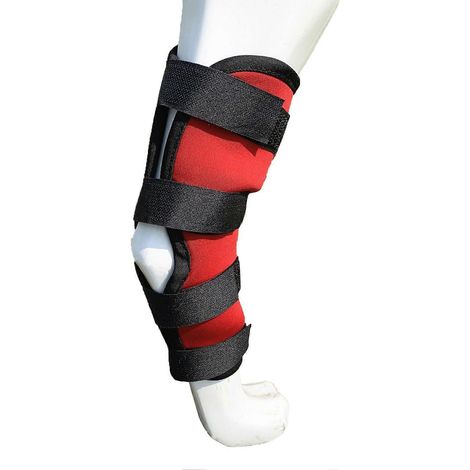 Sangle de soutien pour chien élastique réglable antidérapant, bandage de compression pour patte, protection articulaire contre arthrite et blessure (1/5)