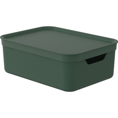 Rotho Aufbewahrungsbox Alvra mit Deckel 36,5 x 26,5 cm 10 L pure grün