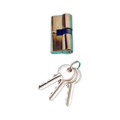 COGEX CYLINDRE POUR PORTE EN METAL + 3 CLES SECURITE EUROPE