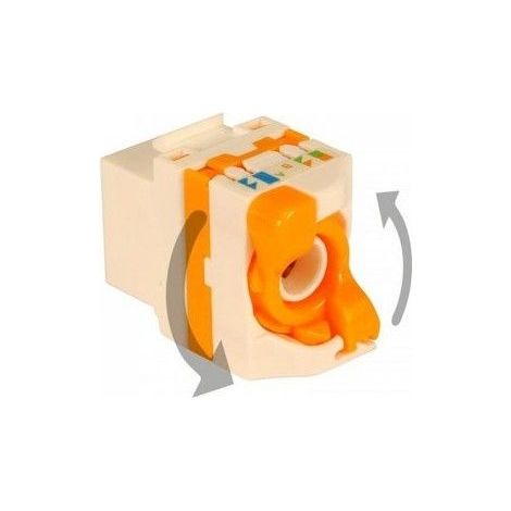 Connettore RJ45 UTP Cat 6A H scatola di plastica (1/5)