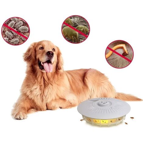 Lot de 2 pièges à puces lumineux, éliminateur anti-puces pour animaux, capteur anti-moucherons d'intérieur, répulsif insectes volants, appareil électrique. (1/5)