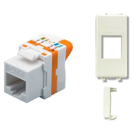 TechLy presa di rete RJ45 UTP Cat.6 tooless + Ave Domus bianca